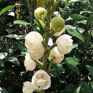 Meet your Posher, Marta